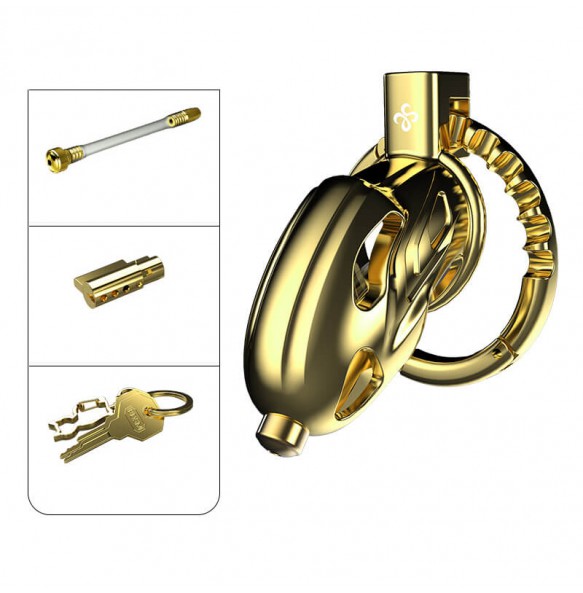 LOCKINK - Sevanda Outlaw Urethral Sounding Chastity Cage (Gold)